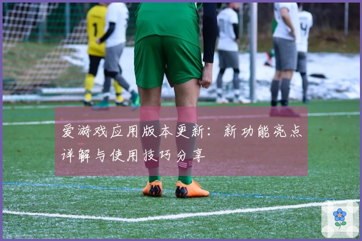 爱游戏应用版本更新：新功能亮点详解与使用技巧分享